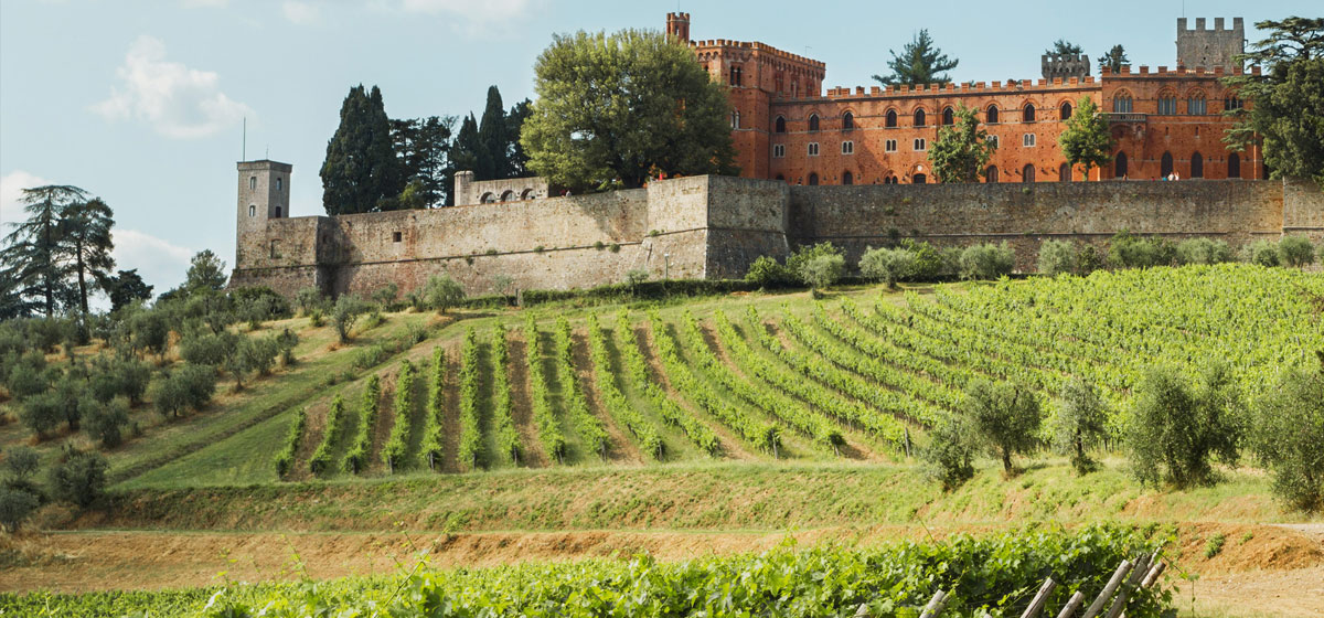 Chianti Day Trip