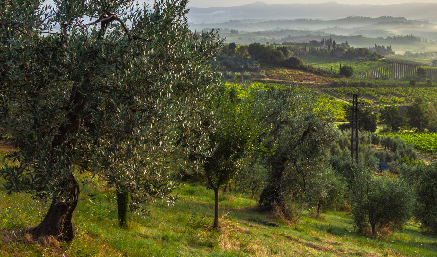 San Gimignano Tour